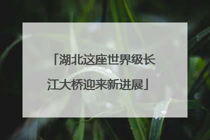 湖北这座世界级长江大桥迎来新进展