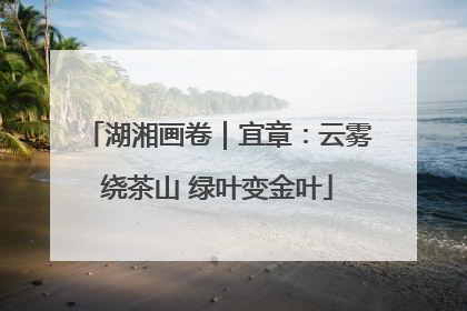 湖湘画卷｜宜章：云雾绕茶山 绿叶变金叶