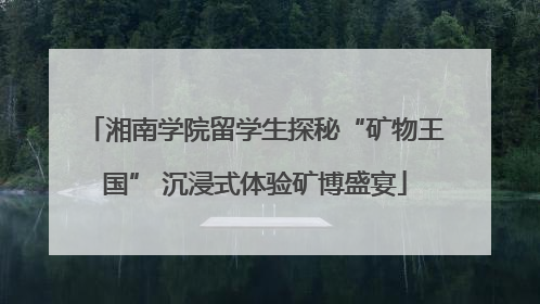 湘南学院留学生探秘“矿物王国” 沉浸式体验矿博盛宴