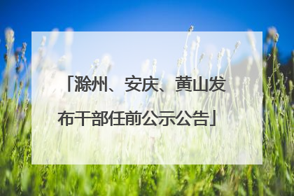 滁州、安庆、黄山发布干部任前公示公告