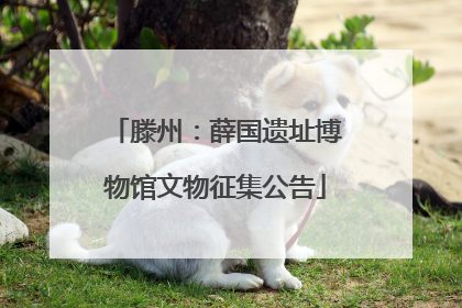 滕州：薛国遗址博物馆文物征集公告