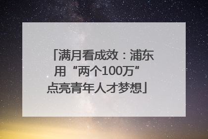 满月看成效：浦东用“两个100万”点亮青年人才梦想