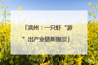 滨州：一只虾“游”出产业链新图景