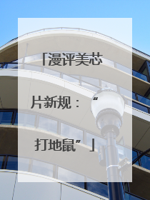 漫评美芯片新规：“打地鼠”