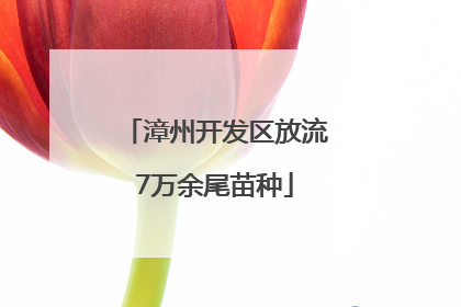 漳州开发区放流7万余尾苗种
