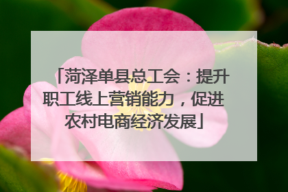 菏泽单县总工会：提升职工线上营销能力，促进农村电商经济发展