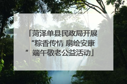菏泽单县民政局开展“粽香传情 扇绘安康”端午敬老公益活动
