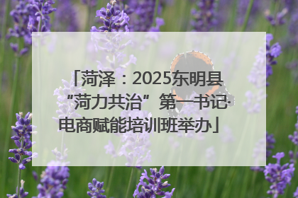 菏泽：2025东明县“菏力共治”第一书记·电商赋能培训班举办
