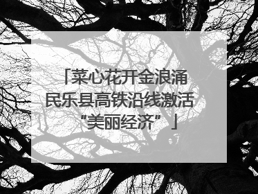 菜心花开金浪涌 民乐县高铁沿线激活“美丽经济”