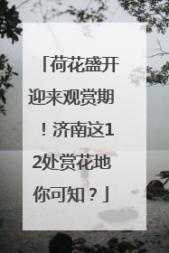 荷花盛开迎来观赏期！济南这12处赏花地你可知？