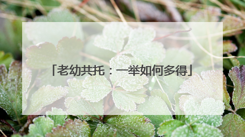 老幼共托：一举如何多得