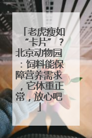 老虎瘦如“卡片”？北京动物园：饲料能保障营养需求，它体重正常，放心吧