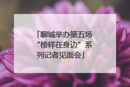 聊城举办第五场“榜样在身边”系列记者见面会