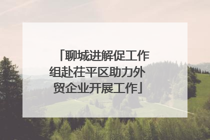 聊城进解促工作组赴茌平区助力外贸企业开展工作