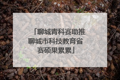 聊城青科赛助推聊城市科技教育省赛硕果累累