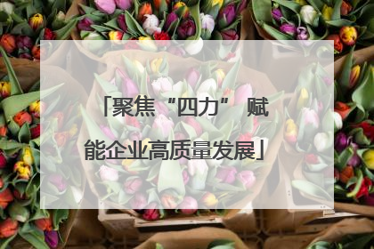 聚焦“四力” 赋能企业高质量发展