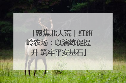 聚焦北大荒｜红旗岭农场：以演练促提升 筑牢平安基石