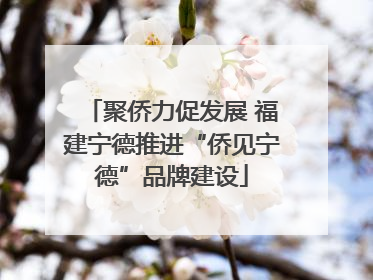 聚侨力促发展 福建宁德推进“侨见宁德”品牌建设