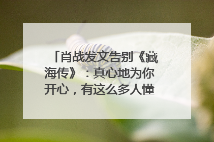 肖战发文告别《藏海传》：真心地为你开心，有这么多人懂你，导演回应“是否有第二季”