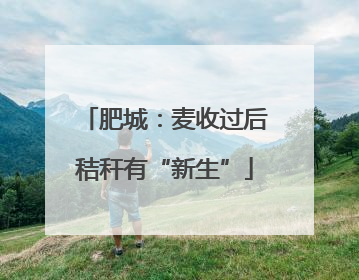 肥城：麦收过后秸秆有“新生”