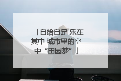 自给自足 乐在其中 城市里的空中“田园梦”