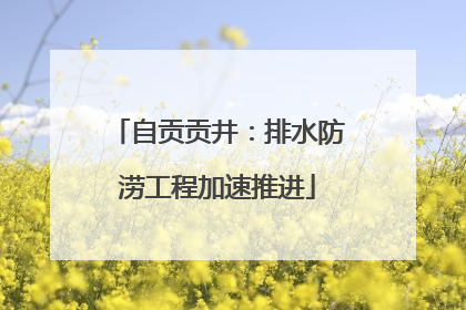 自贡贡井：排水防涝工程加速推进
