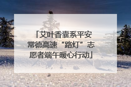 艾叶香囊系平安 常德高速“路灯”志愿者端午暖心行动