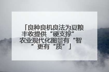 良种良机良法为夏粮丰收提供“硬支撑” 农业现代化图景有“智”更有“质”
