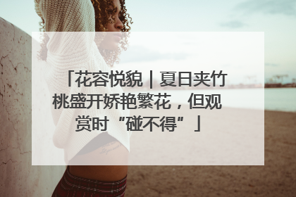 花容悦貌｜夏日夹竹桃盛开娇艳繁花，但观赏时“碰不得”