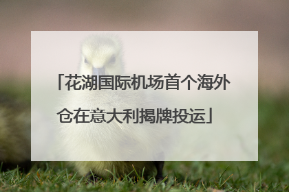 花湖国际机场首个海外仓在意大利揭牌投运