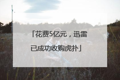 花费5亿元，迅雷已成功收购虎扑