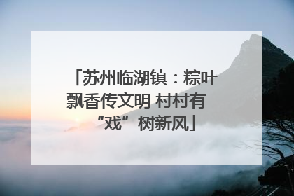 苏州临湖镇：粽叶飘香传文明 村村有“戏”树新风
