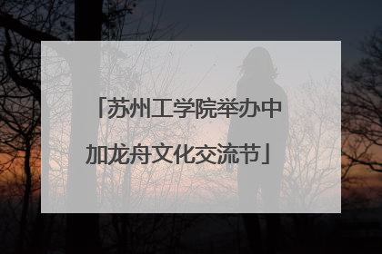 苏州工学院举办中加龙舟文化交流节