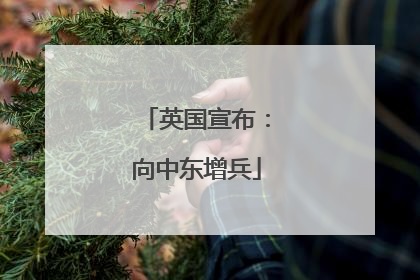 英国宣布：向中东增兵