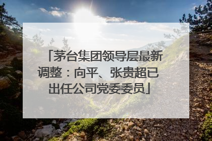 茅台集团领导层最新调整：向平、张贵超已出任公司党委委员