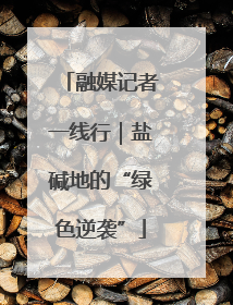 融媒记者一线行｜盐碱地的“绿色逆袭”