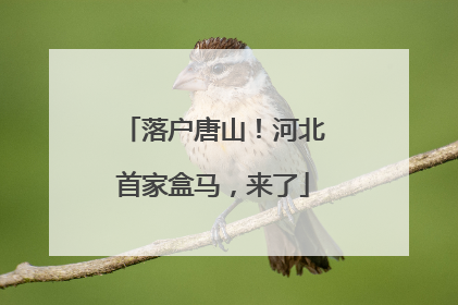 落户唐山！河北首家盒马，来了