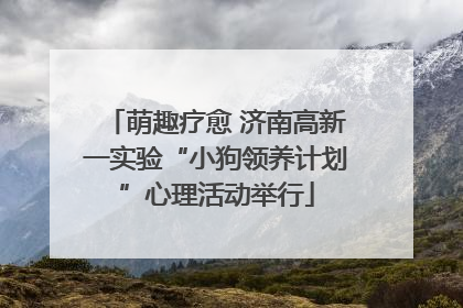 萌趣疗愈 济南高新一实验“小狗领养计划”心理活动举行