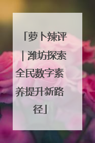萝卜辣评｜潍坊探索全民数字素养提升新路径