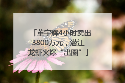董宇辉4小时卖出3800万元，潜江龙虾火爆“出圈”