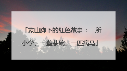 蒙山脚下的红色故事：一所小学、一盏茶碗、一匹病马
