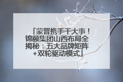 蒙晋携手干大事！锦颐集团山西布局全揭秘：五大品牌矩阵+双轮驱动模式