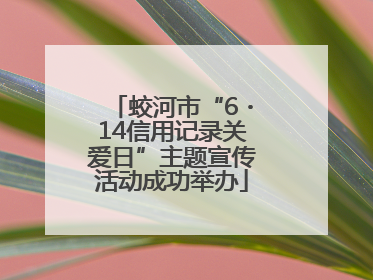 蛟河市“6・14信用记录关爱日”主题宣传活动成功举办