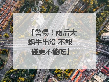 警惕！雨后大蜗牛出没 不能碰更不能吃