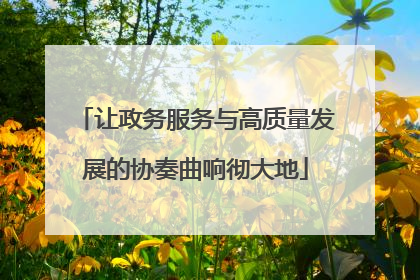 让政务服务与高质量发展的协奏曲响彻大地