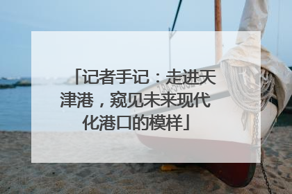 记者手记：走进天津港，窥见未来现代化港口的模样