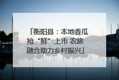 衡阳县：本地香瓜抢“鲜”上市 农旅融合助力乡村振兴