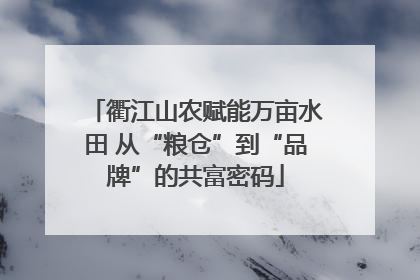 衢江山农赋能万亩水田 从“粮仓”到“品牌”的共富密码