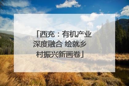 西充：有机产业深度融合 绘就乡村振兴新画卷