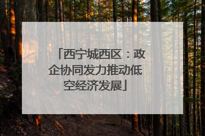 西宁城西区：政企协同发力推动低空经济发展